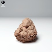 hedgehog_3.jpg