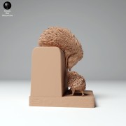 hedgehog_and_baby_1.jpg