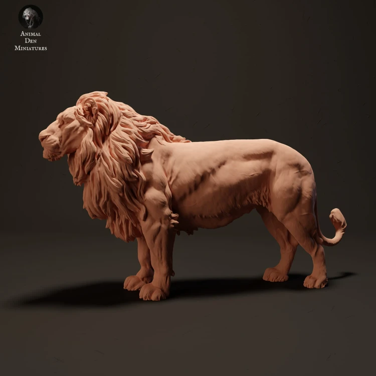 lion-1.jpg