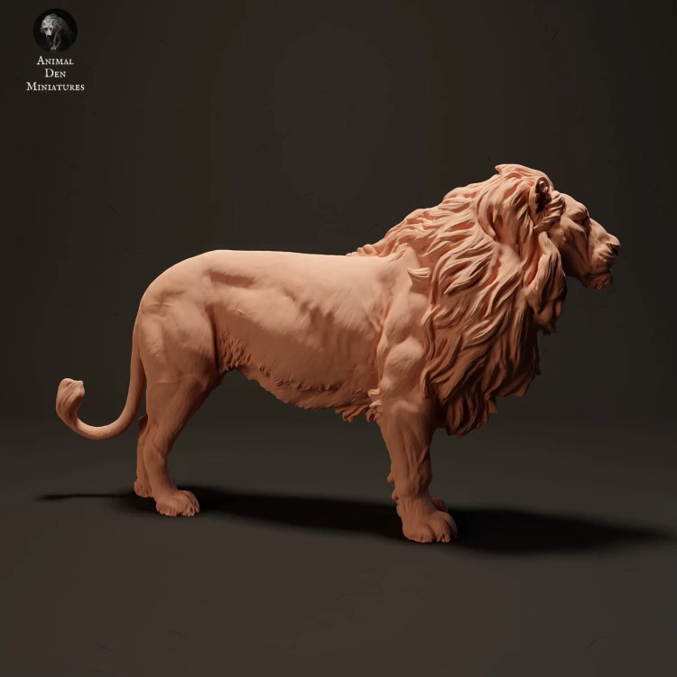 lion-2.jpg