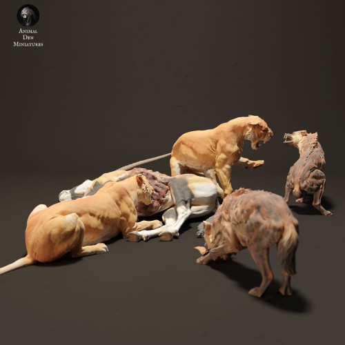 lionesses-vs-hyenas-0.jpg