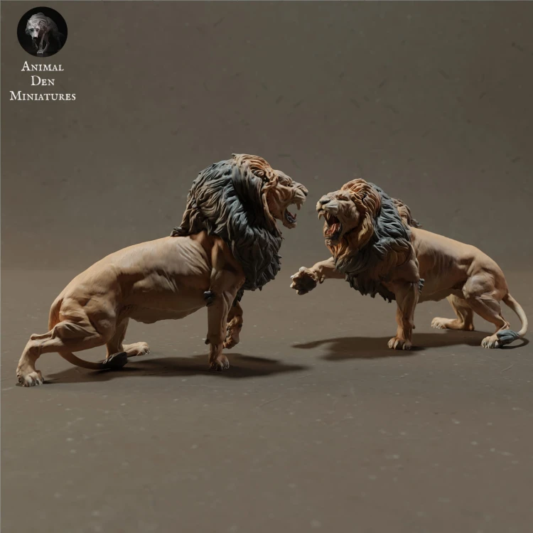 lions-fight-4.jpg