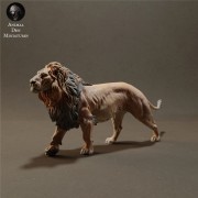 lion-1.jpg