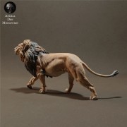 lion-3.jpg