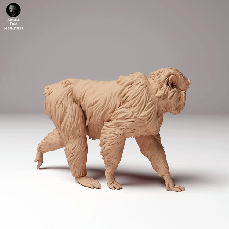 35130289_snow_monkey_1.jpg