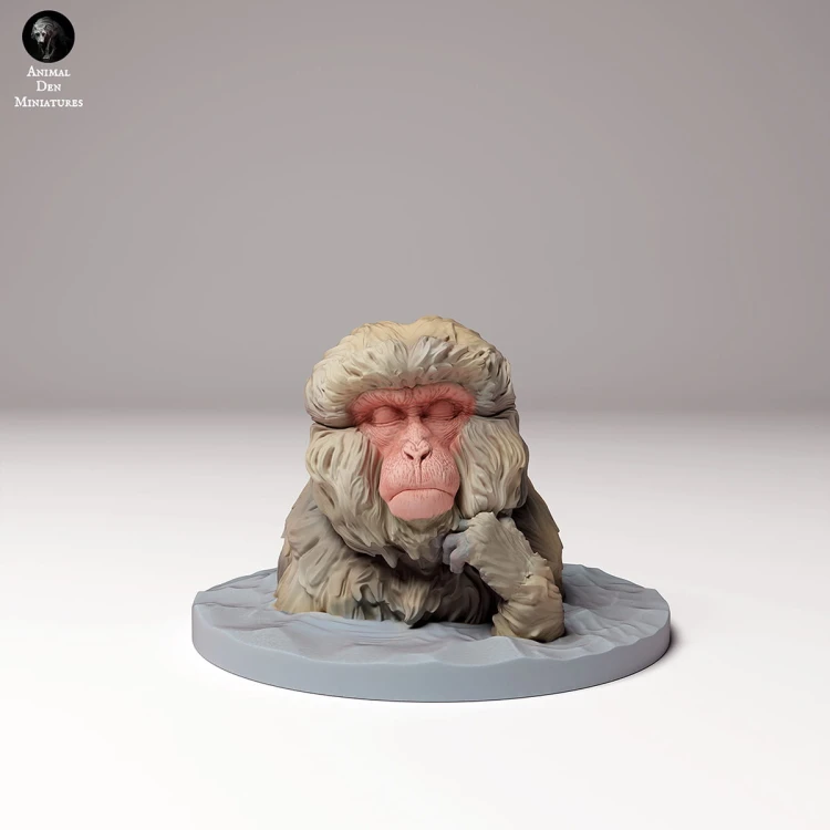 35130290_snow_monkey_bath_4.jpg
