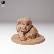 35130290_snow_monkey_bath_1.jpg