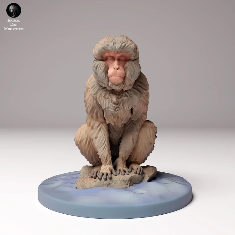 35130293_snow_monkey_sitting_4.jpg