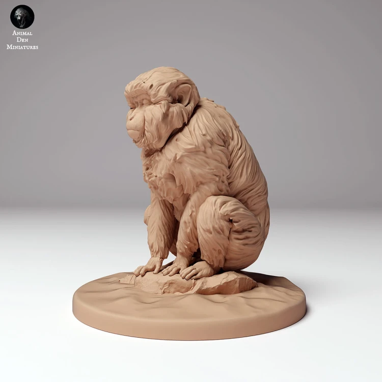 35130293_snow_monkey_sitting_1.jpg