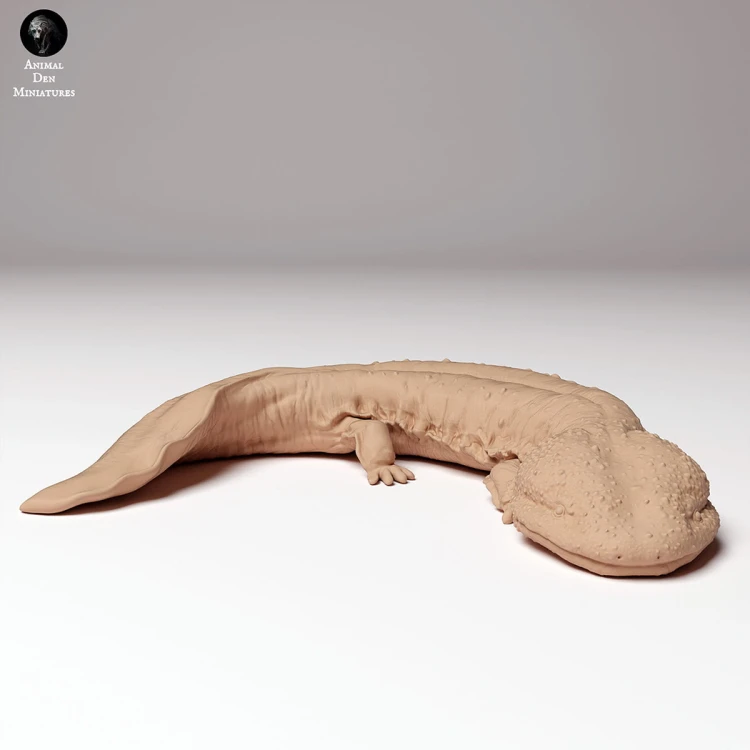 35130294_japanese_giant_salamander_3.jpg