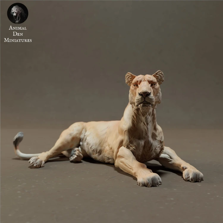 lioness-lying-1.jpg