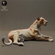 lioness-lying-3.jpg