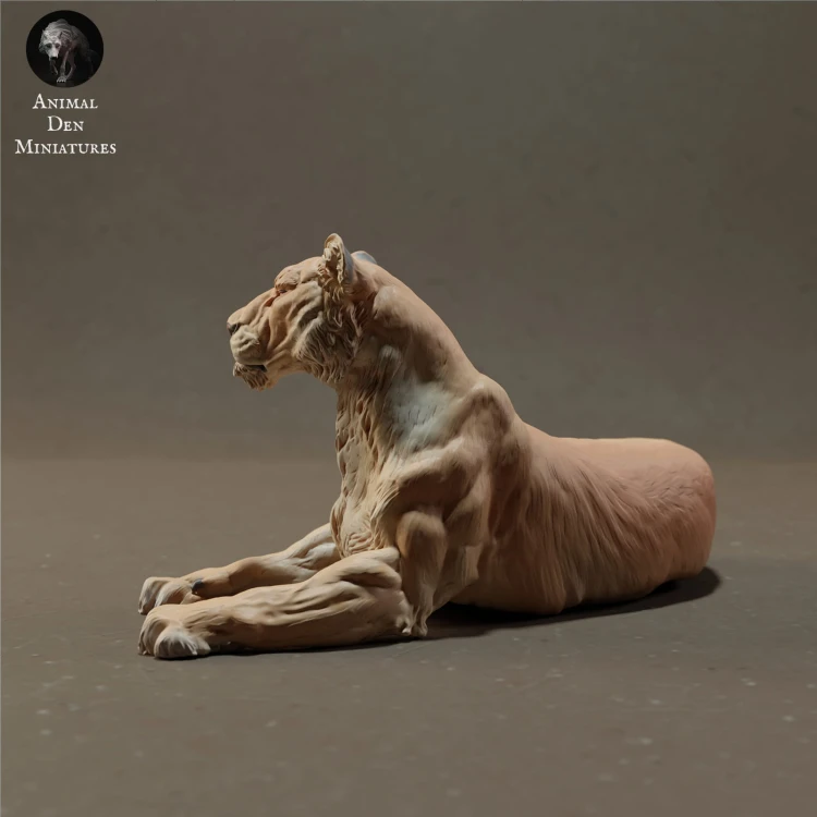 lioness-lying-4.jpg
