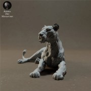 lioness-lying-5.jpg
