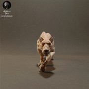 lioness-sneaking-2.jpg