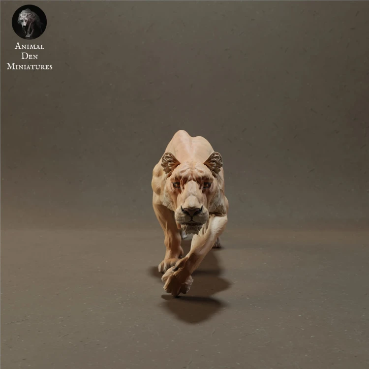 lioness-sneaking-2.jpg