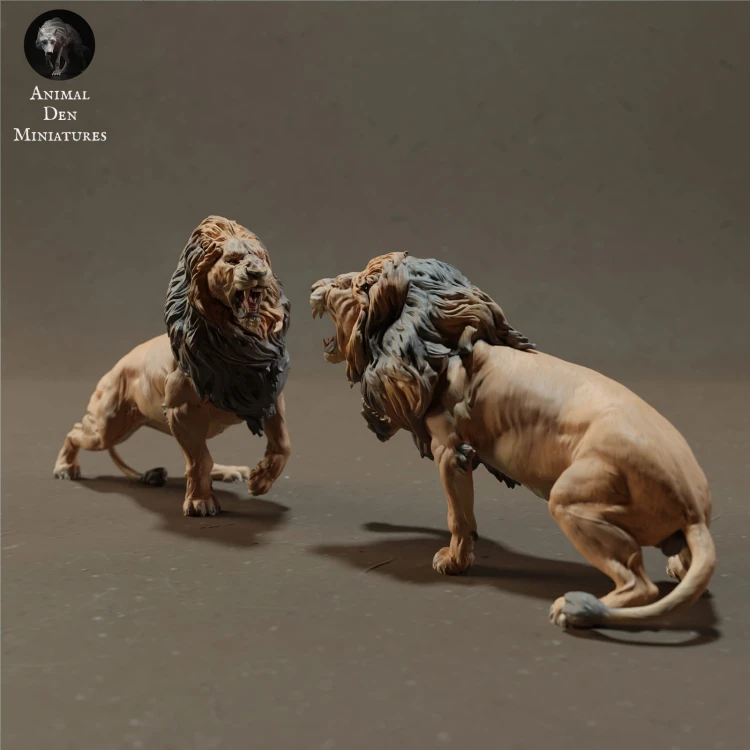 lions-fight-3.jpg