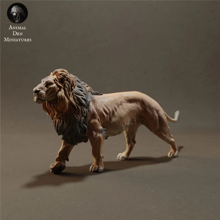lion-1.jpg