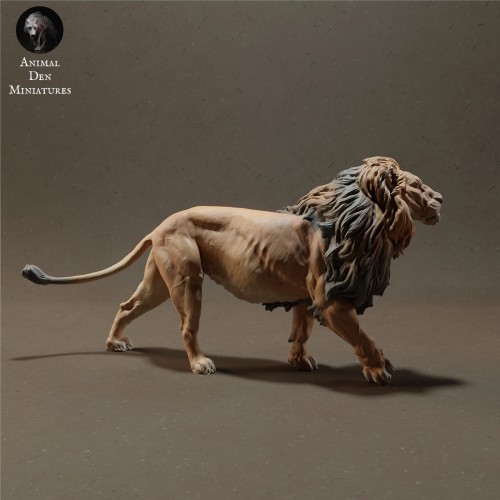 lion-2.jpg