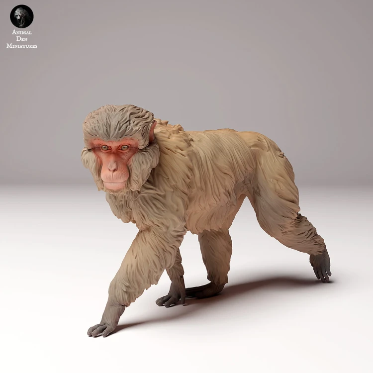 35130289_snow_monkey_4.jpg