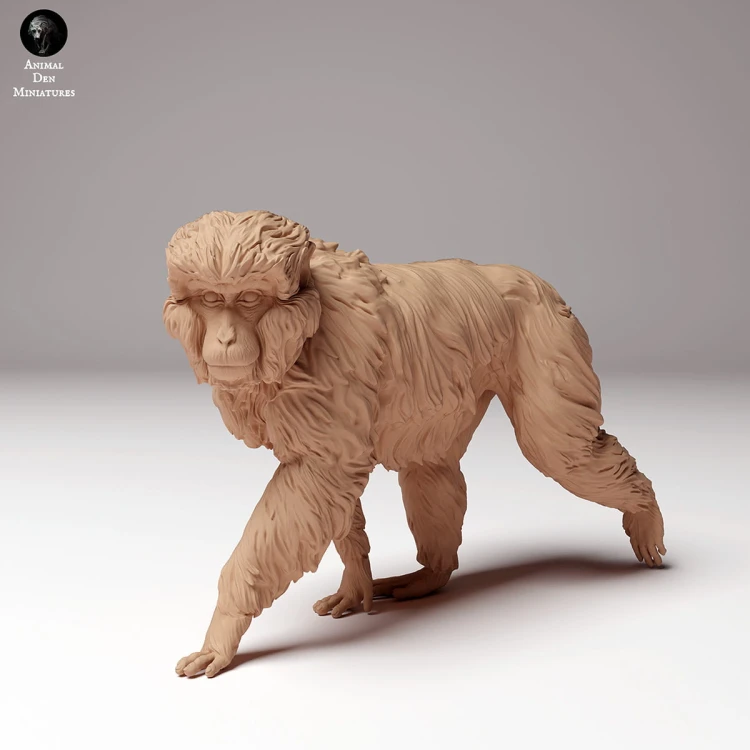 35130289_snow_monkey_3.jpg