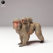 35130291_snow_monkey_female_and_infant_4.jpg