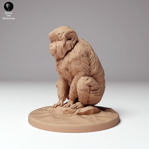 35130293_snow_monkey_sitting_1.jpg