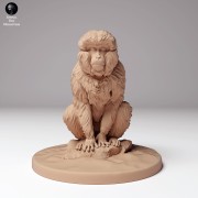 35130293_snow_monkey_sitting_3.jpg