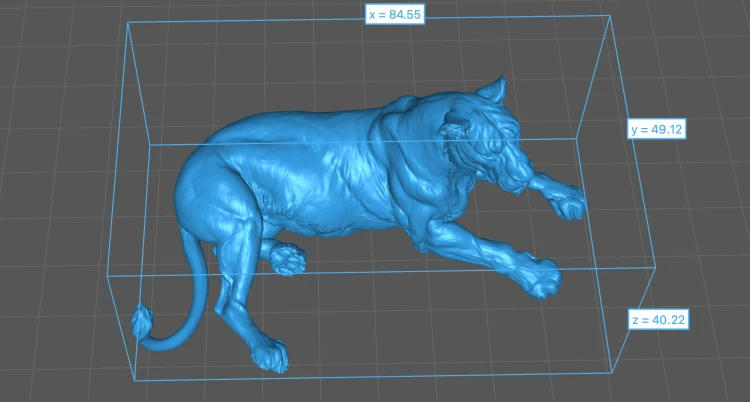 lioness-lying-6.png