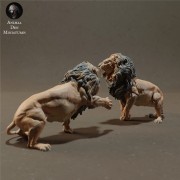lions-fight-2.jpg