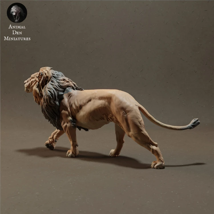 lion-3.jpg