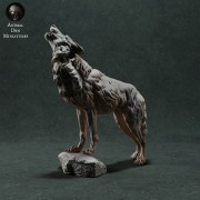 iberian-wolf-1.jpg