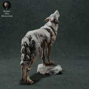 iberian-wolf-3.jpg