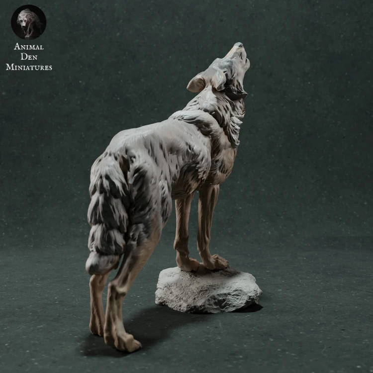 iberian-wolf-3.jpg