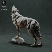 iberian-wolf-4.jpg