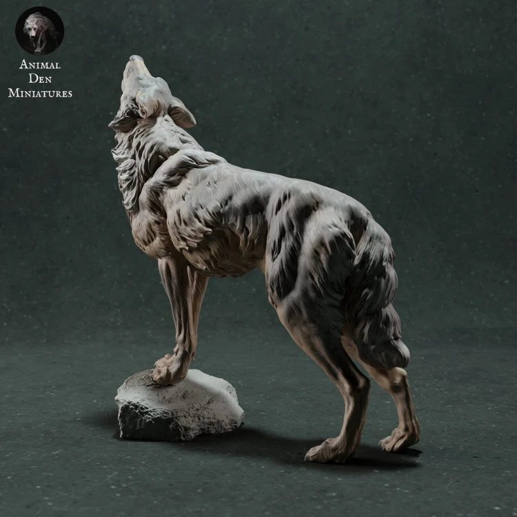 iberian-wolf-4.jpg
