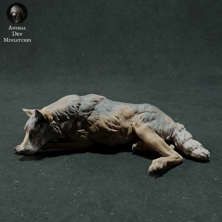 iberian-wolf-sleep-1.jpg