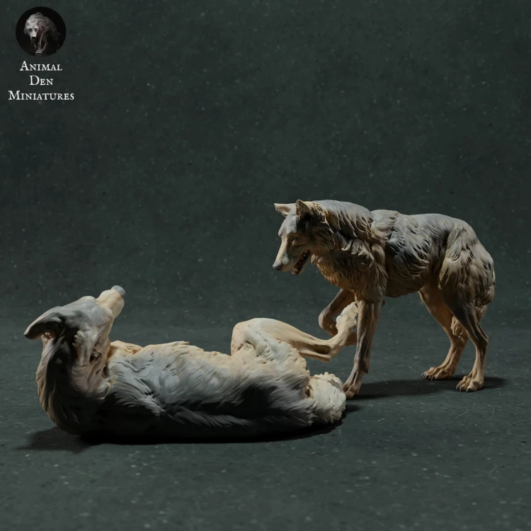 iberian-wolves-play-1.jpg