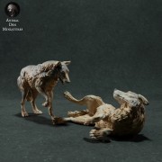 iberian-wolves-play-2.jpg