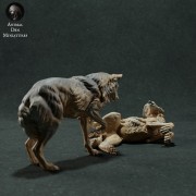 iberian-wolves-play-3.jpg