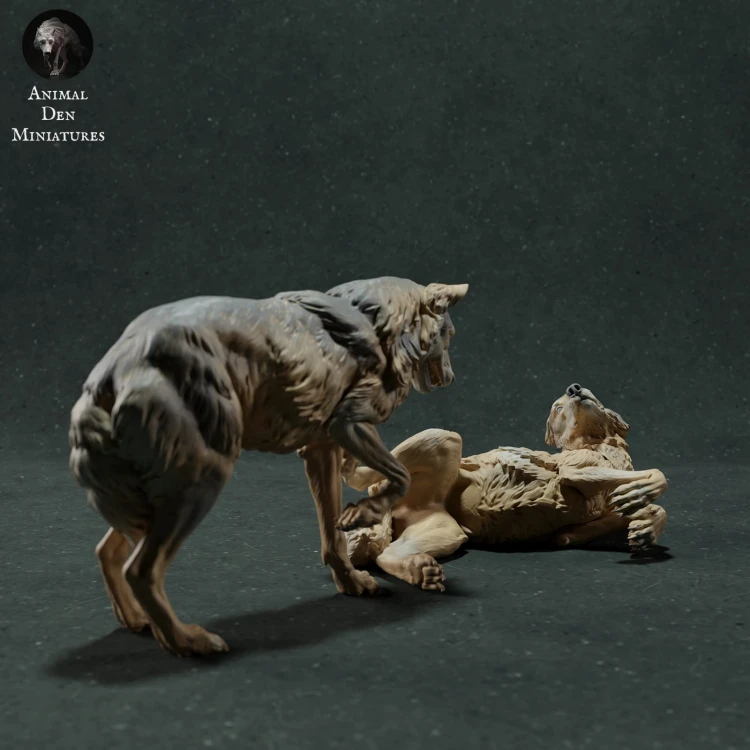 iberian-wolves-play-3.jpg