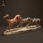 iberian-wolves-hunt-3.jpg