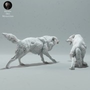arctic-wolves-fight-3.jpg