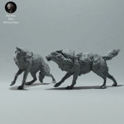arctic-wolves-run-4.jpg