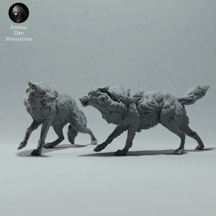 arctic-wolves-run-4.jpg