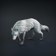 wolf-1.jpg