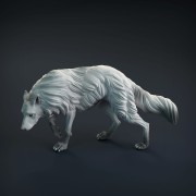 wolf-2.jpg