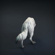 wolf-4.jpg