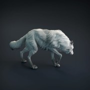 wolf-5.jpg