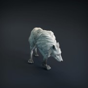 wolf-6.jpg
